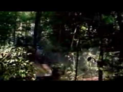Michael Jackson – Earth Song – World Environment Day