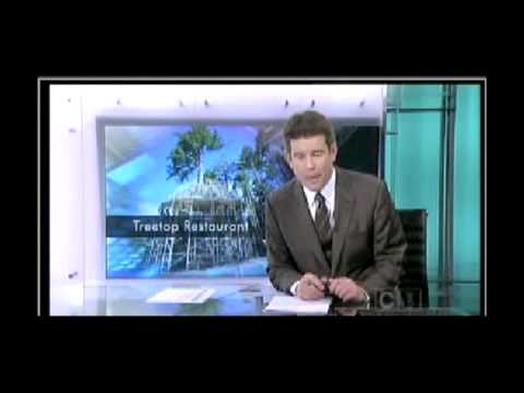 New Zealand Yellow Pages – Yellow Tree house