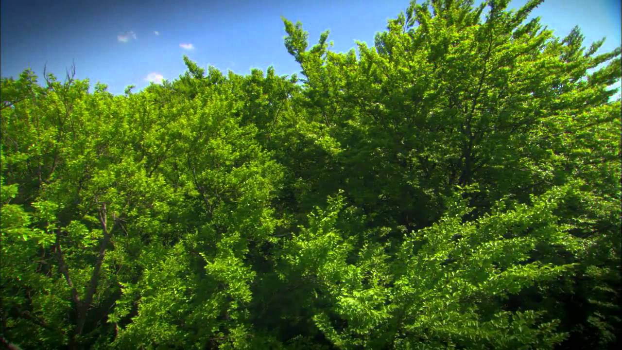 ¨One Day on Earth¨ (Part 1 of 4)
