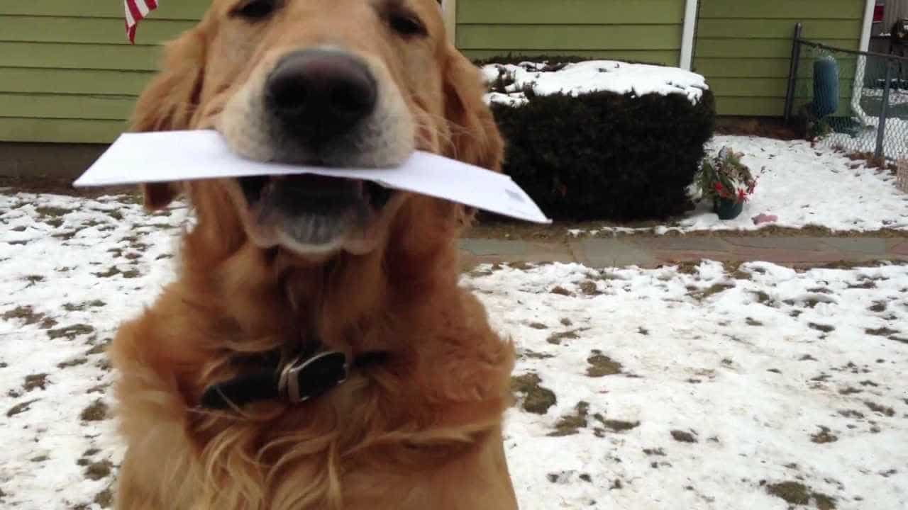The best part of my Day (Original)