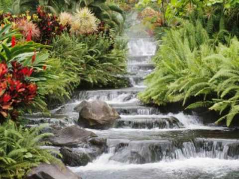 The Earth Day Song