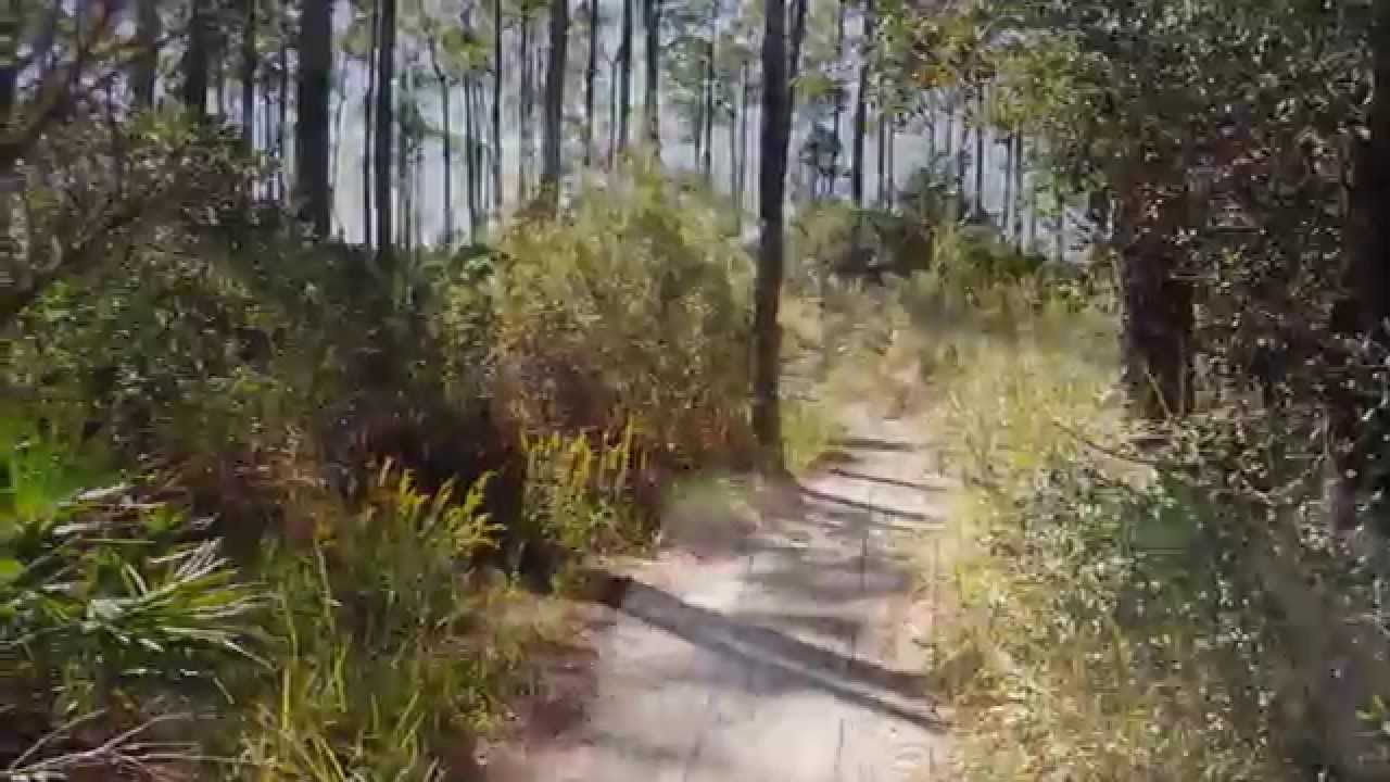 Travel to Florida: Bike Ride Through Jolee Island Nature Park, Sandestin Golf and Beach Resort