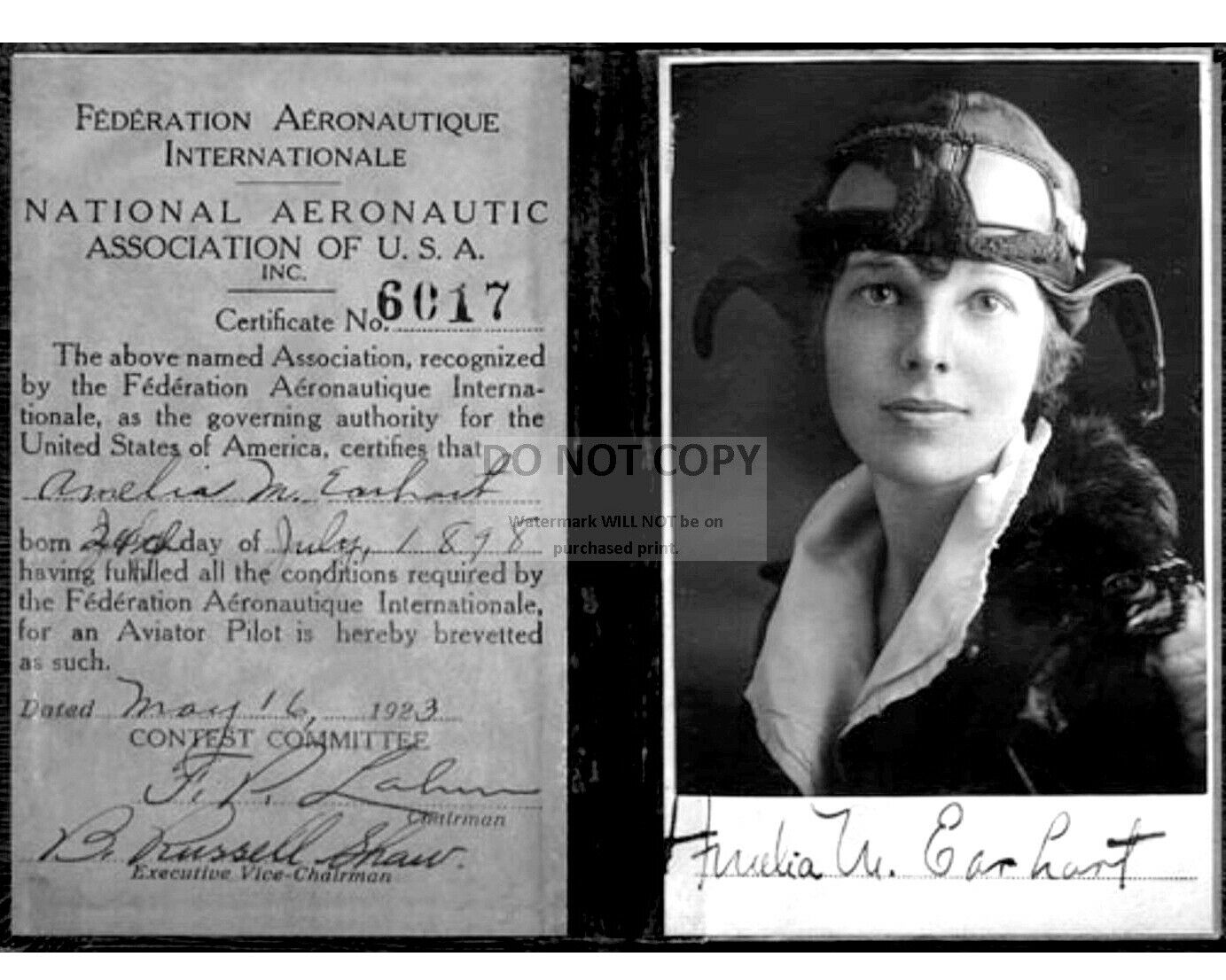 AMELIA EARHART'S PILOT LICENSE FROM 1923 AVIATRIX - 8X10 REPRINT PHOTO (OC007)