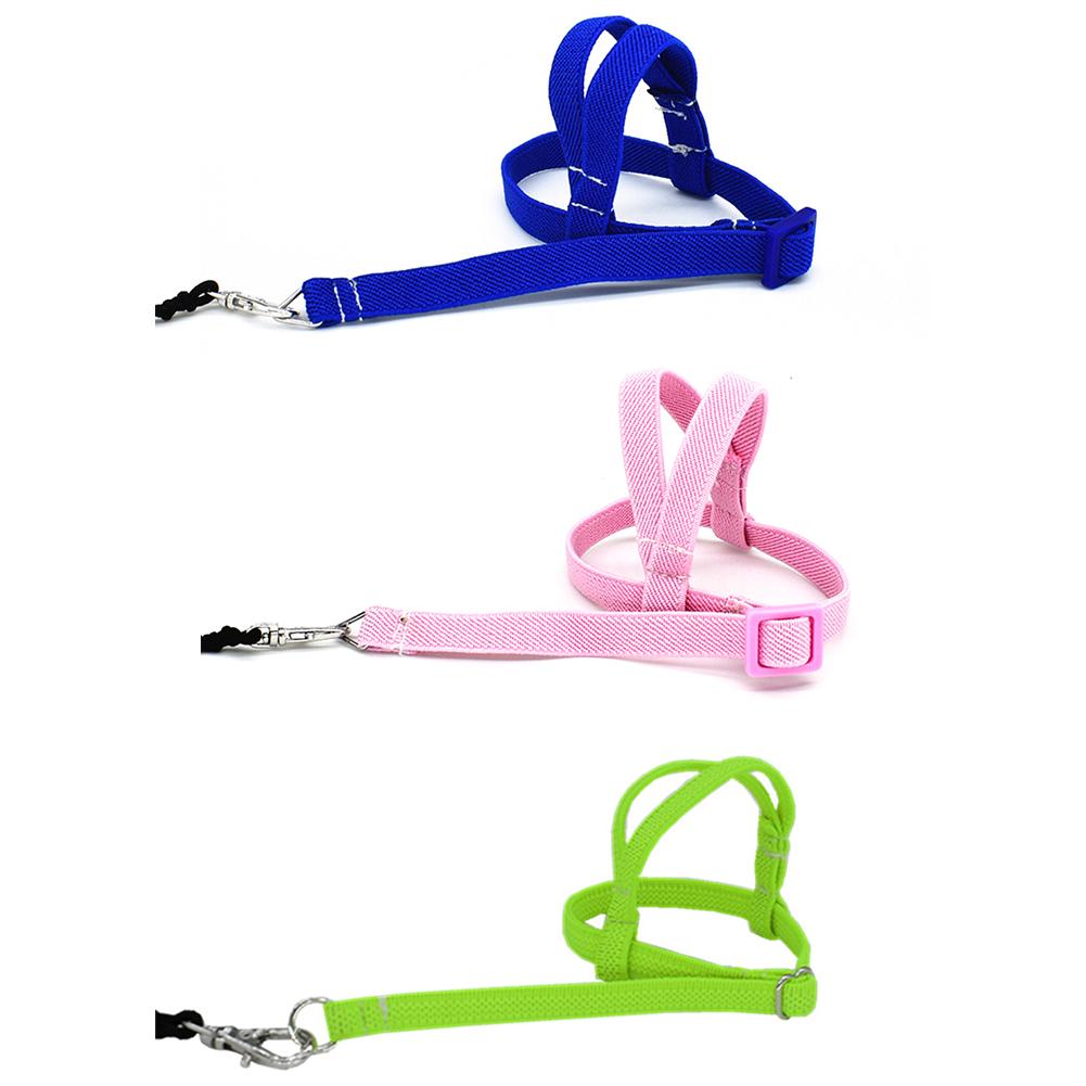 Pet Bird Parrot Harness And Leash Parrot Flight Light Rope Strap-type Flying Rope Out Training Rope Bird Parrot Supplies